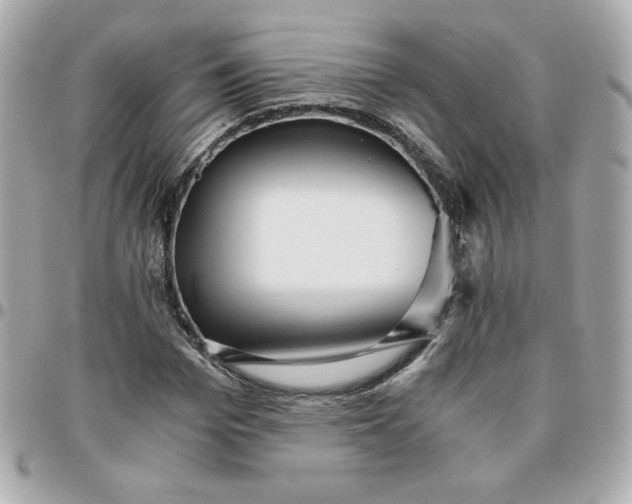 X0000096220969200802011339