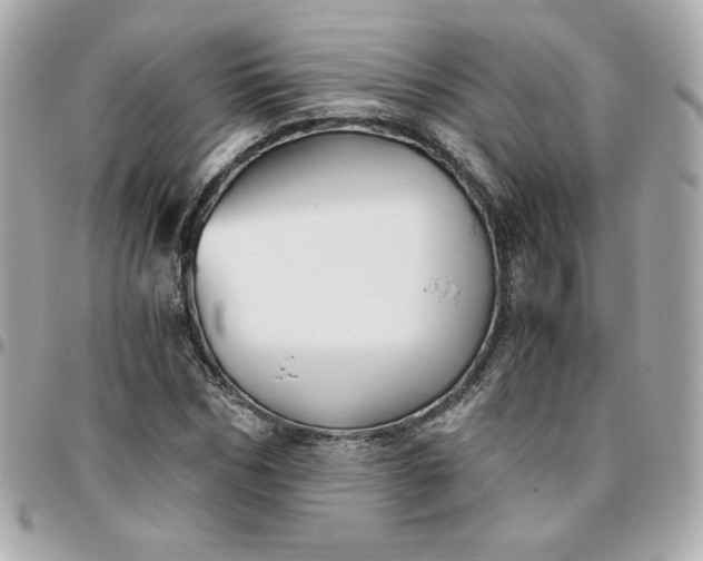 X0000096220970200802011339