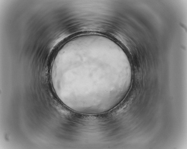 X0000096220971200802011339