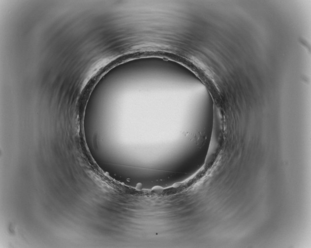 X0000096220973200802011339