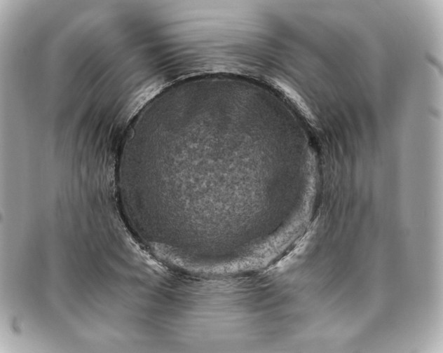 X0000096220977200802011339