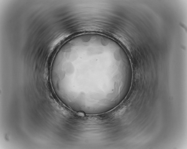 X0000096220979200802011339