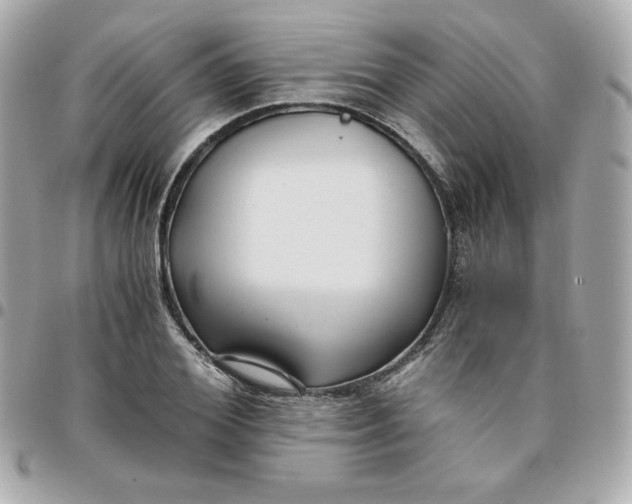 X0000096220980200802011339