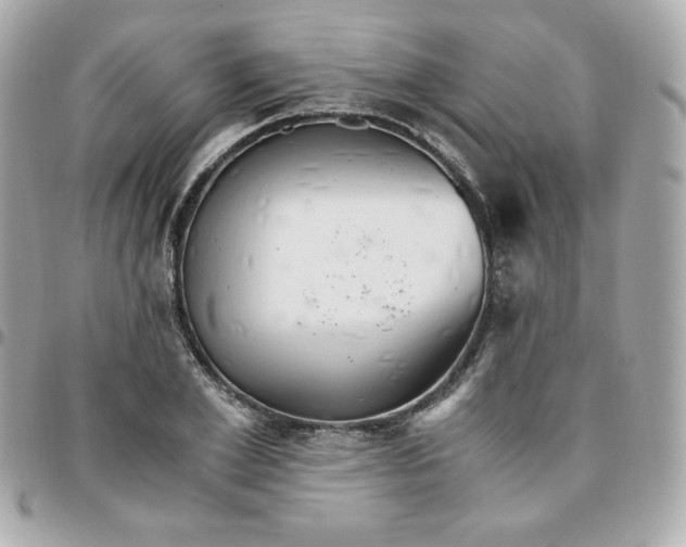 X0000096220981200802011339