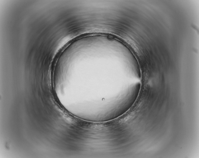 X0000096220982200802011339