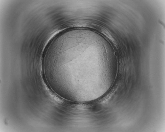 X0000096220984200802011339