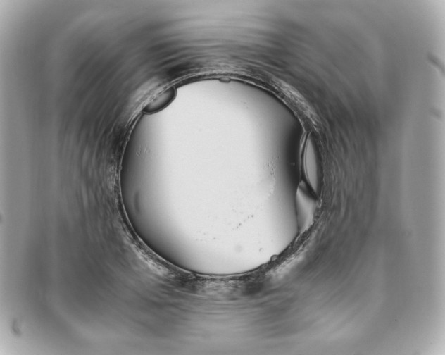 X0000096220985200802011339