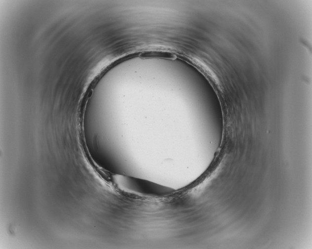 X0000096220989200802011339