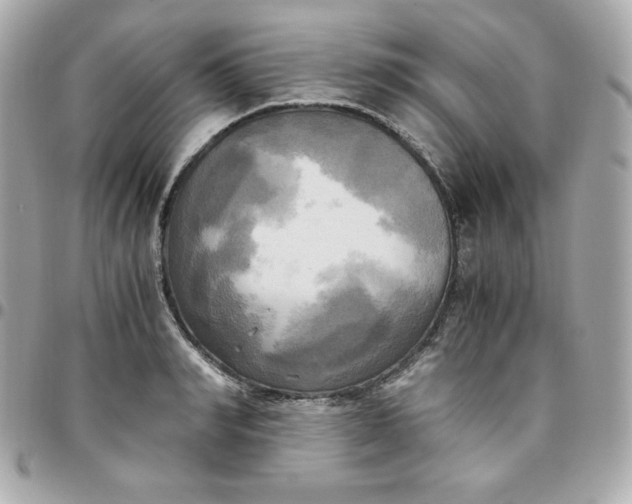 X0000096220990200802011339