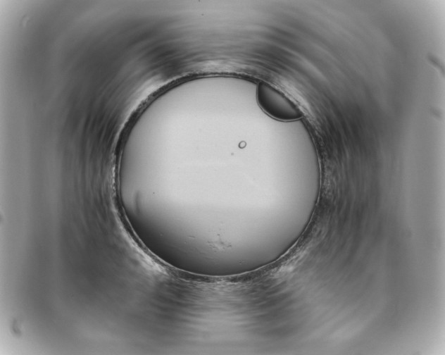 X0000096220992200802011339