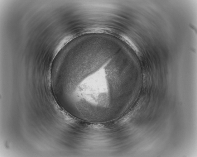 X0000096220994200802011339