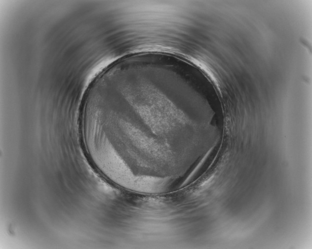 X0000096220995200802011339