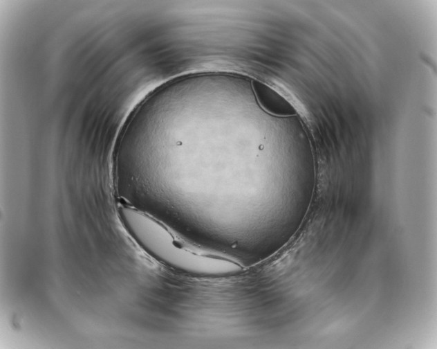 X0000096220996200802011339