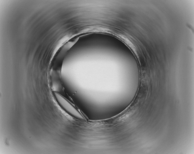 X0000096220997200802011339