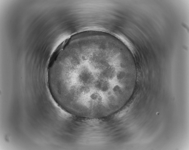 X0000096220999200802011339