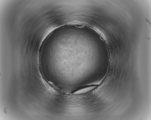 X0000096221000200802011339