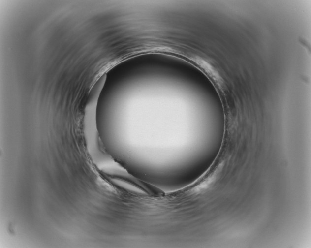 X0000096221001200802011339