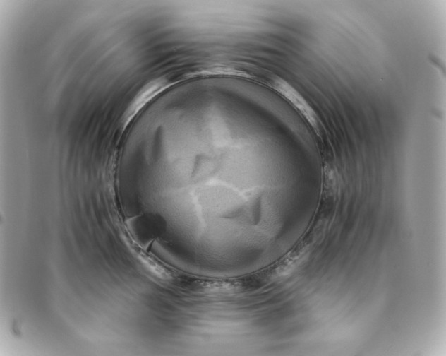 X0000096221002200802011339