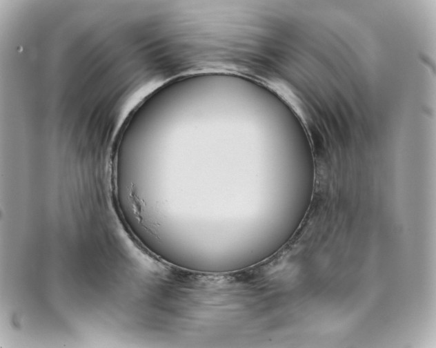 X0000096221003200802011339