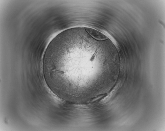 X0000096221004200802011339