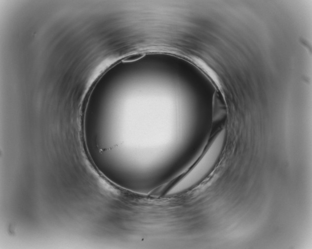 X0000096221005200802011339