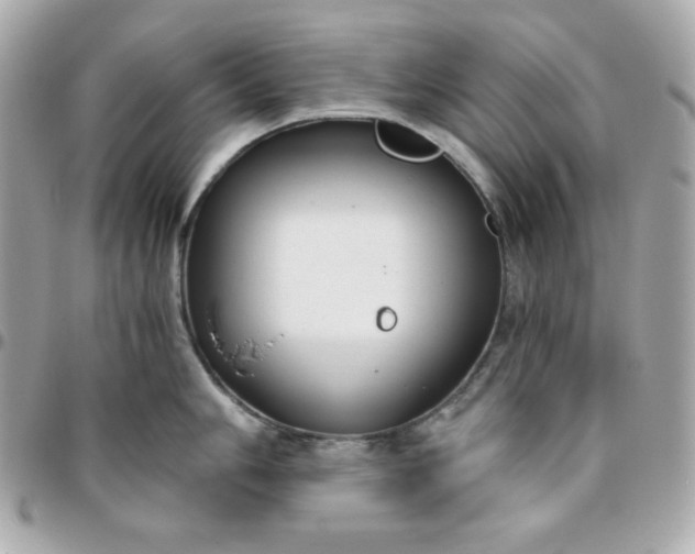 X0000096221006200802011339