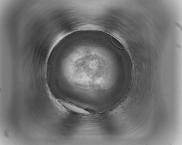 X0000096221008200802011339