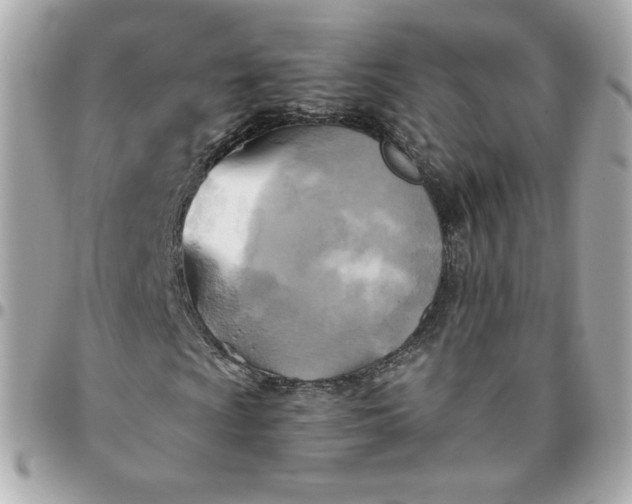 X0000096221009200802011338