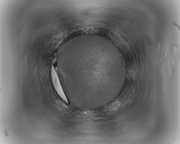 X0000096221010200802011338