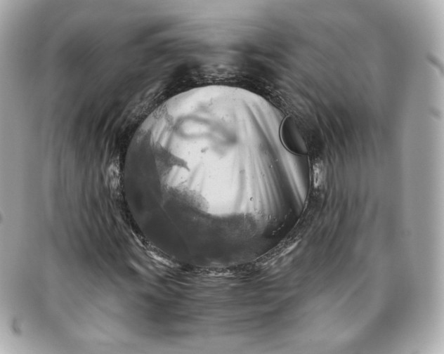 X0000096221011200802011338