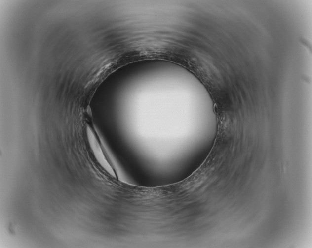 X0000096221012200802011338