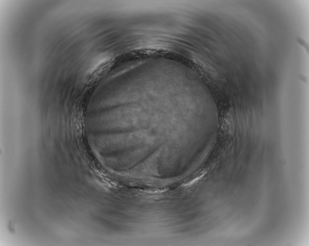 X0000096221014200802011338