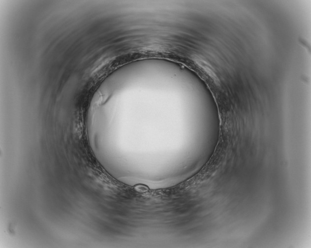 X0000096221015200802011338