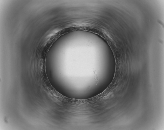 X0000096221016200802011338