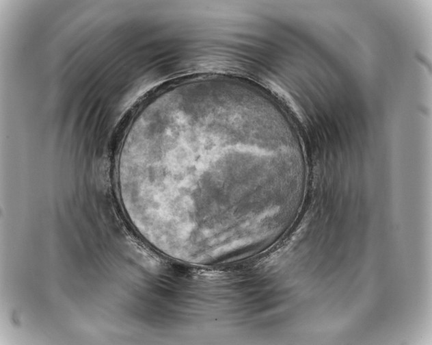 X0000096221019200802011338