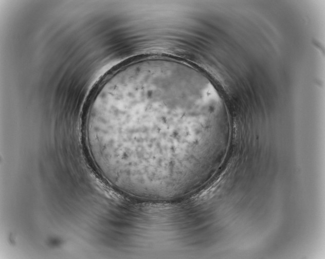 X0000096221020200802011338