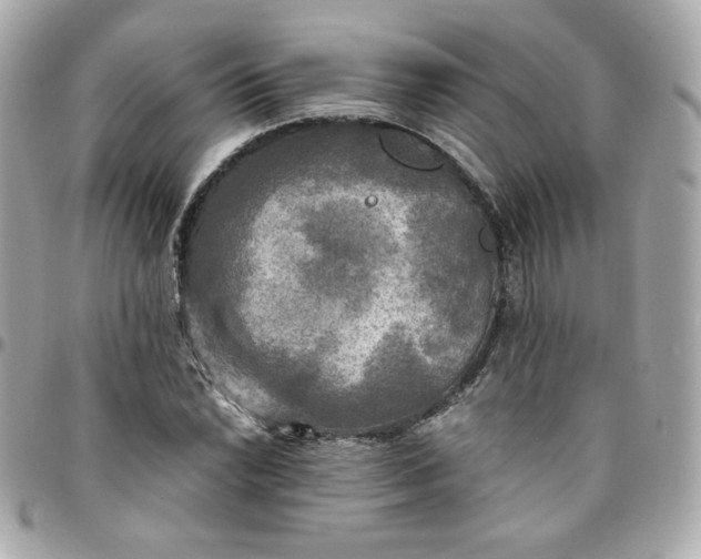 X0000096221022200802011338