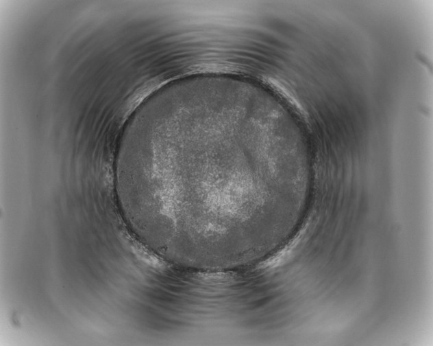 X0000096221025200802011338