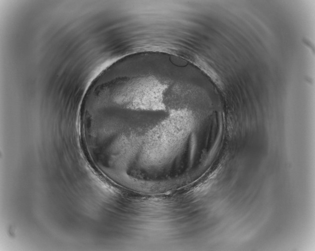 X0000096221028200802011338