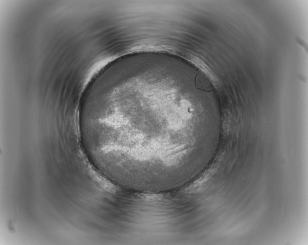 X0000096221030200802011338