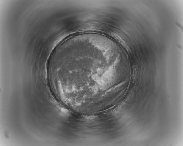 X0000096221031200802011338