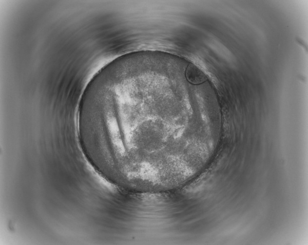 X0000096221032200802011338