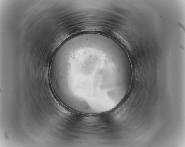 X0000096221033200802011338