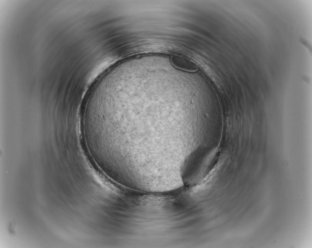 X0000096221034200802011338