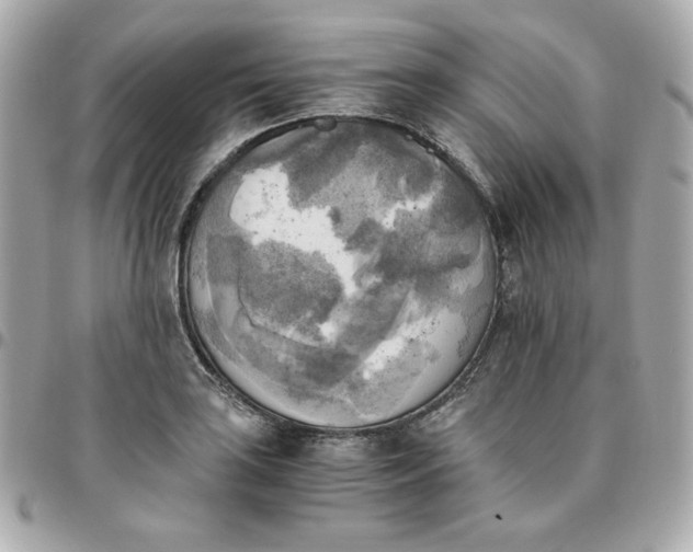 X0000096221035200802011338