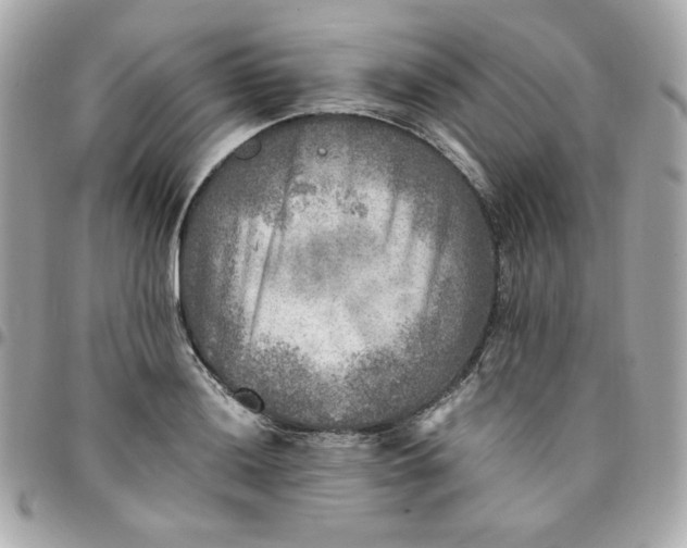 X0000096221036200802011338