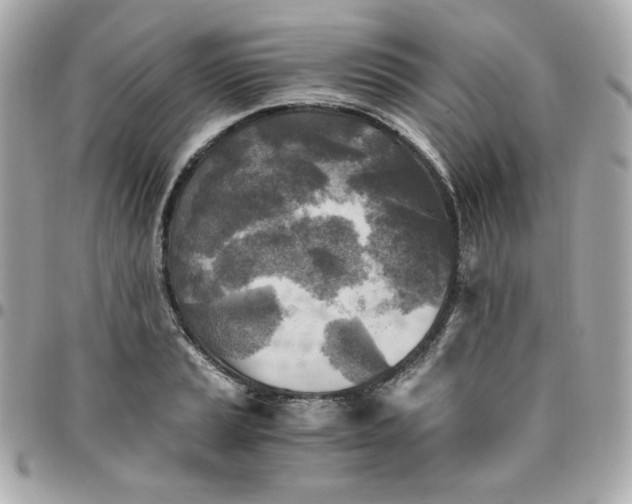 X0000096221037200802011338