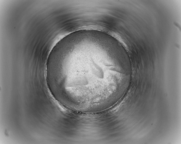 X0000096221040200802011338