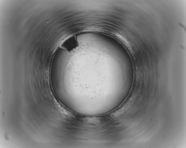 X0000096221041200802011338