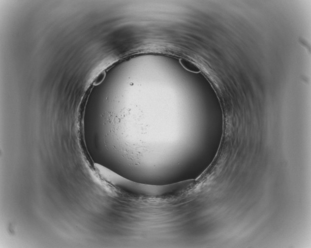 X0000096221042200802011338